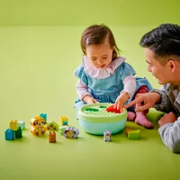Constructor LEGO Shape Sorter: Puppy House Clasic/ Green photo 6