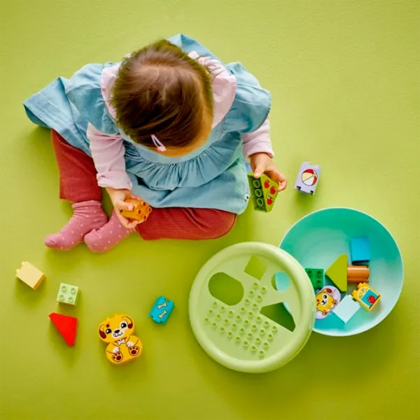 Конструктор LEGO Shape Sorter: Puppy House Классический/ Зеленый photo 7