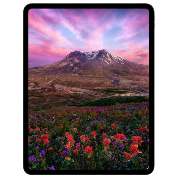 Планшет Apple iPad Pro 2025 11" 12 ГБ/256 ГБ 5G ME2N4TY/A Космос Черный photo 3