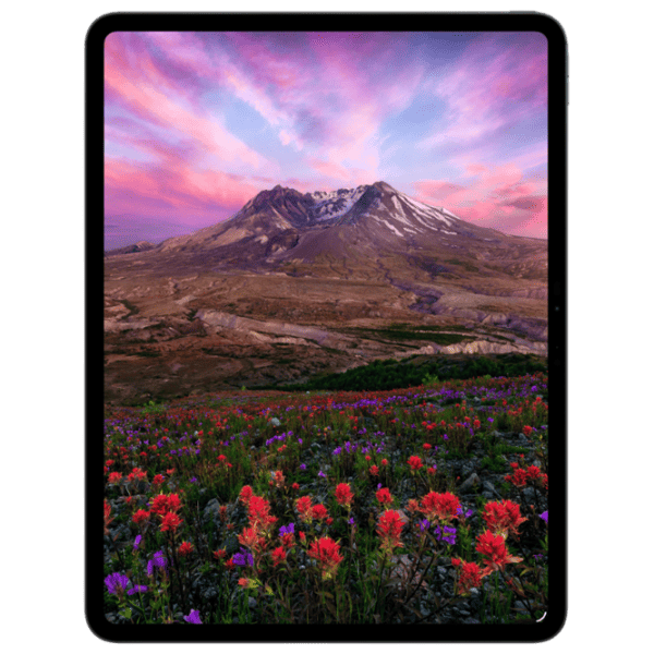 Планшет Apple iPad Pro 2025 11" 12 ГБ/256 ГБ 5G ME2N4TY/A Космос Черный photo 3