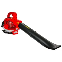 Воздуходувка Raider RD-GBV06  / Красный