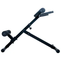 Bancă fitness Insportline ON-X RC 20 Antrenarea mușchilor abdominali și spatelui / Black photo 2