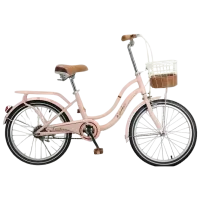 Велосипед TyBike DF-02 20" 20" Сталь / Розовый Brown