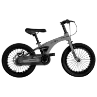 Велосипед TyBike BK-08 20" 20" Магниевый сплав / Серый Черный