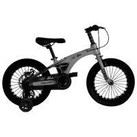 Велосипед TyBike BK-08 16" 16" Магниевый сплав / Серый Черный