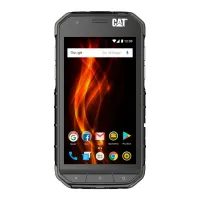 Caterpillar S31 2 ГБ/ 16 ГБ/ Dual SIM/ Черный 