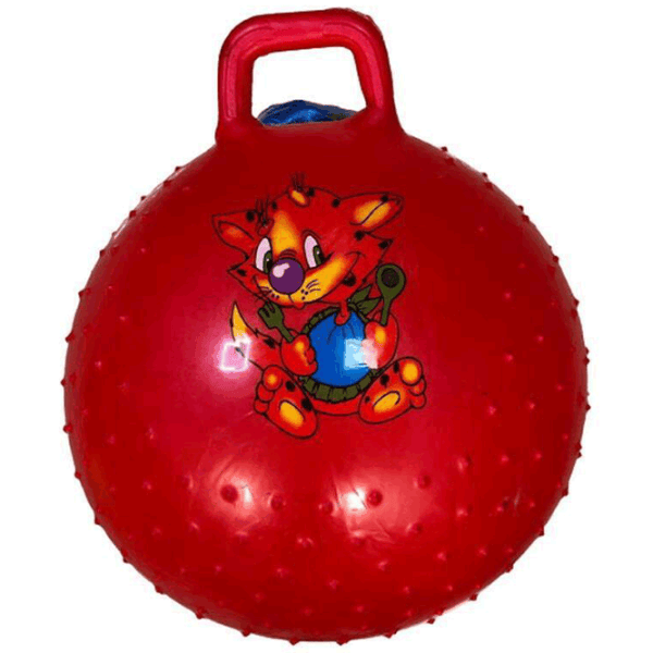 Fitball Miscellaneous 1755 40 cm / Multicolor photo 1