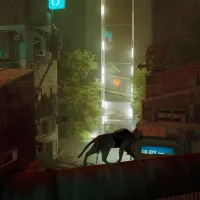 Stray Game for Nintendo Switch photo 5