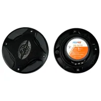 Boxe auto Pervoi CTC-1073 300 W