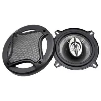 Boxe auto Pervoi CTC-1373 400 W