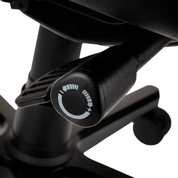 Scaun Gaming NOBLECHAIRS EPIC Series Blue Black photo 2