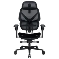 Scaun Gaming ThunderX3 Flex Pro Mesh Gray Black