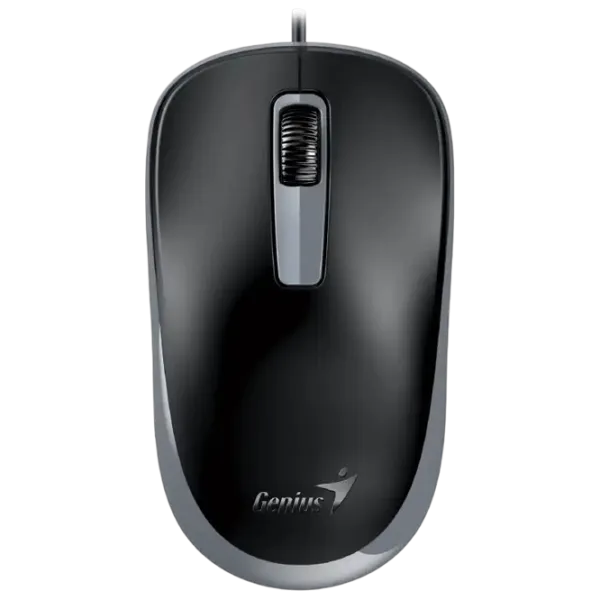 Mouse Genius DX-125S Black photo 1