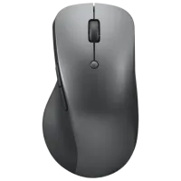 Mouse Lenovo Professional Gray