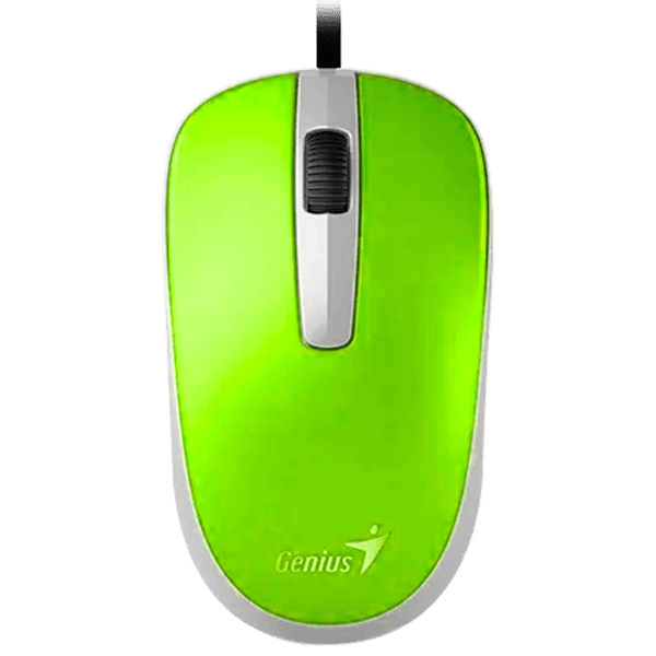 Mouse Genius DX-120 Green photo 1