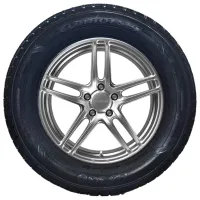 Anvelope Comforser Winter CF930 195/55 R16 91H XL Iarnă / Autoturism photo 2