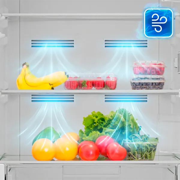 Frigider Daewoo CKM0373EWRA0-EU cu congelator jos 330 l / 186 cm / White photo 7