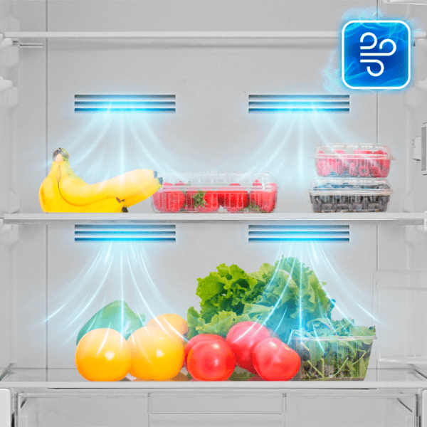 Frigider Daewoo CKM0373EWRA0-EU cu congelator jos 330 l / 186 cm / White photo 7