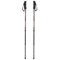 Bețe de mers nordic Insportline IN11474-4 Aluminiu / 1350 mm