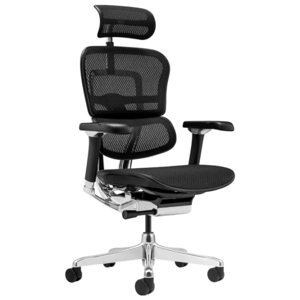Fotoliu de birou ART Ergohuman Luxury 2 Pânză/ Black  photo 1
