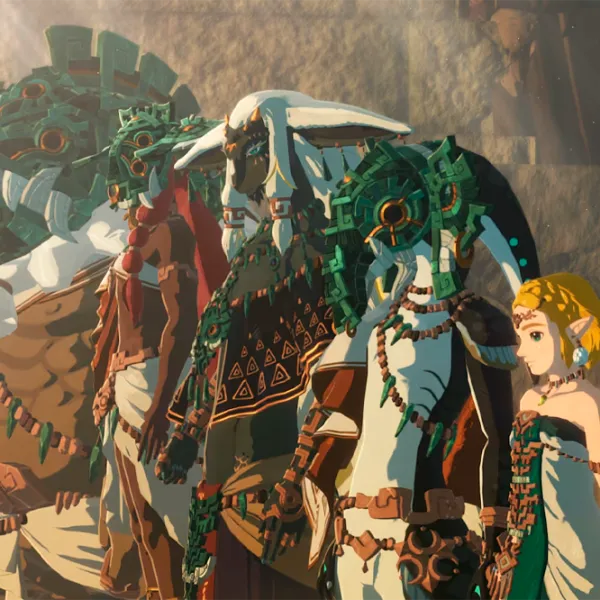 Hyrule Warriors Age Of Imprisonment Game for Nintendo Switch 2 photo 6