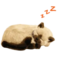 Мягкая игрушка Perfect Petzzz Siamese 92-15 5+ / Бежевый photo 2