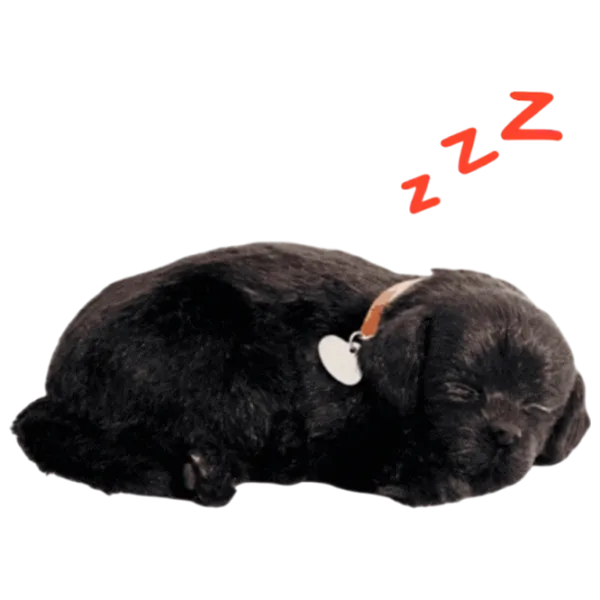 Мягкая игрушка Perfect Petzzz Маленький лабрадор 92-15 5+ / Черный photo 1