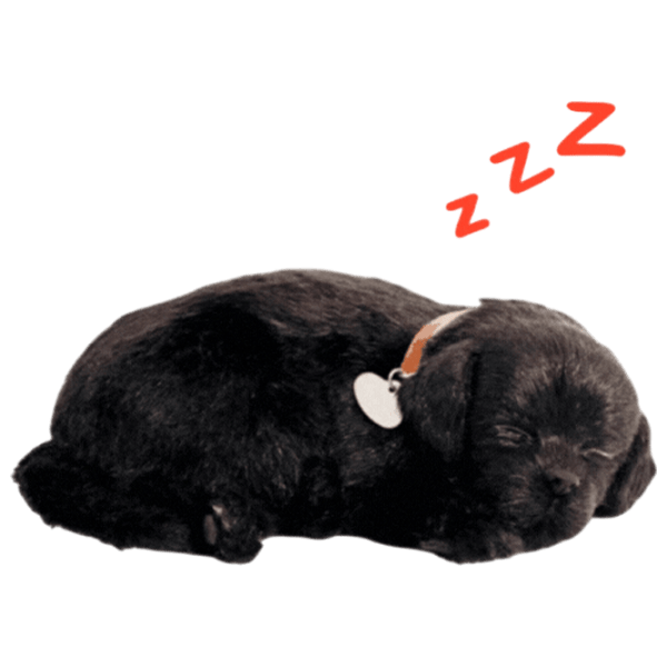 Мягкая игрушка Perfect Petzzz Маленький лабрадор 92-15 5+ / Черный photo 1