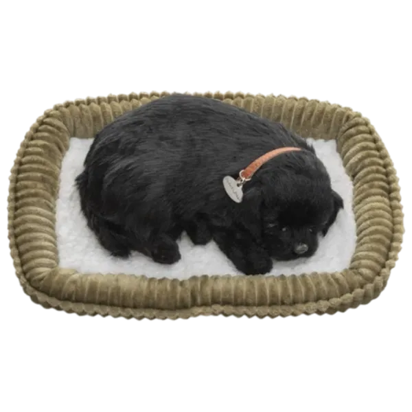 Мягкая игрушка Perfect Petzzz Маленький лабрадор 92-15 5+ / Черный photo 3