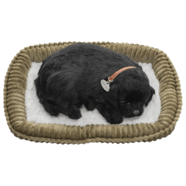 Мягкая игрушка Perfect Petzzz Маленький лабрадор 92-15 5+ / Черный photo 3