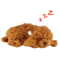 Мягкая игрушка Perfect Petzzz Toy Pudel 91-40 5+ / Коричневый photo 3