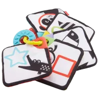 Joc educativ Fisher Price Flashcards FXB92 0+ / Multicolor photo 4