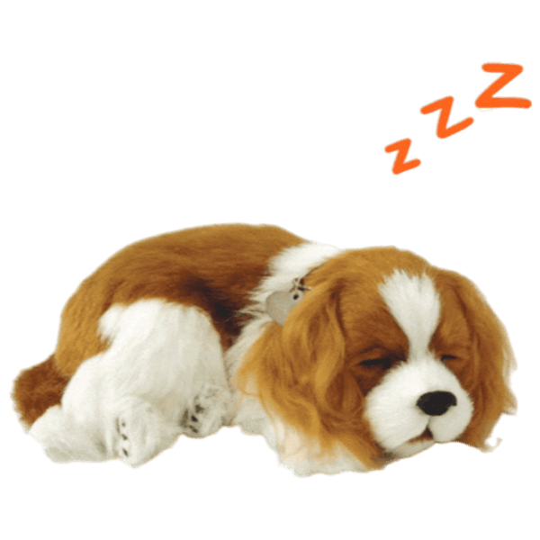 Мягкая игрушка Perfect Petzzz Cavalier King Charles 91-20 3+ / Коричневый photo 2