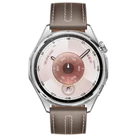 Умные часы Huawei Watch GT 6 1.43" / 46 мм / Серебряный - Коричневый / VLI-B19 photo 2