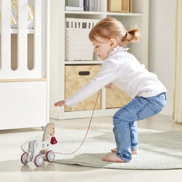 Jucărie de împins și tras Hape Wonder Pony Pull-Along E0367 1+ / White photo 6