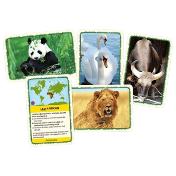 Joc educativ Tactic Animals of the World 8+/ Dezvoltare photo 2