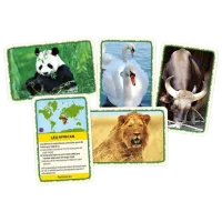 Joc educativ Tactic Animals of the World 8+/ Dezvoltare photo 2