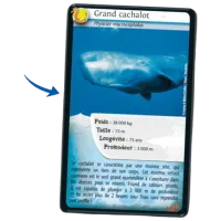 Joc educativ Bioviva Nature Challenge: Marine animals 7+/ Dezvoltare photo 2
