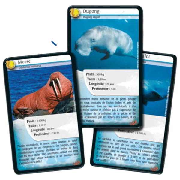 Joc educativ Bioviva Nature Challenge: Marine animals 7+/ Dezvoltare photo 3
