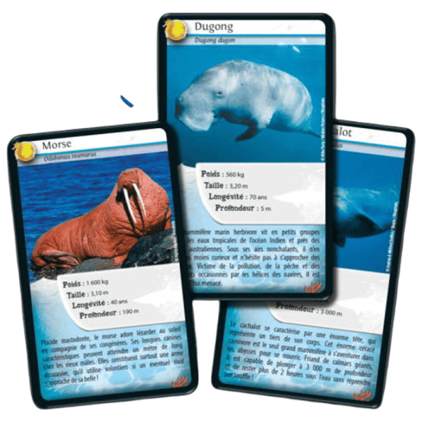 Joc educativ Bioviva Nature Challenge: Marine animals 7+/ Dezvoltare photo 3