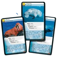 Joc educativ Bioviva Nature Challenge: Marine animals 7+/ Dezvoltare photo 3