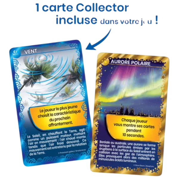 Joc educativ Bioviva Nature Challenge: Marine animals 7+/ Dezvoltare photo 4