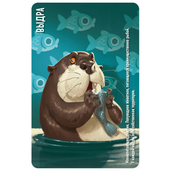 Настольная игра Ludicus Games Similo: Animals 6+/ Развитие photo 5