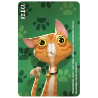 Joc de masă Ludicus Games Similo: Animals 6+/ Dezvoltare photo 7