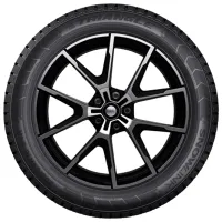 Anvelope Triangle PL01 255/55 R19 111R Iarnă / Autoturism photo 2