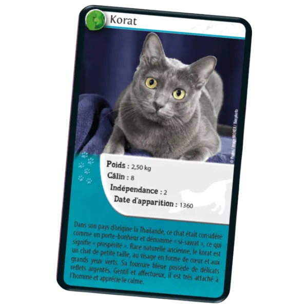 Joc educativ Bioviva Nature Challenge: Cats 7+/ Dezvoltare photo 2