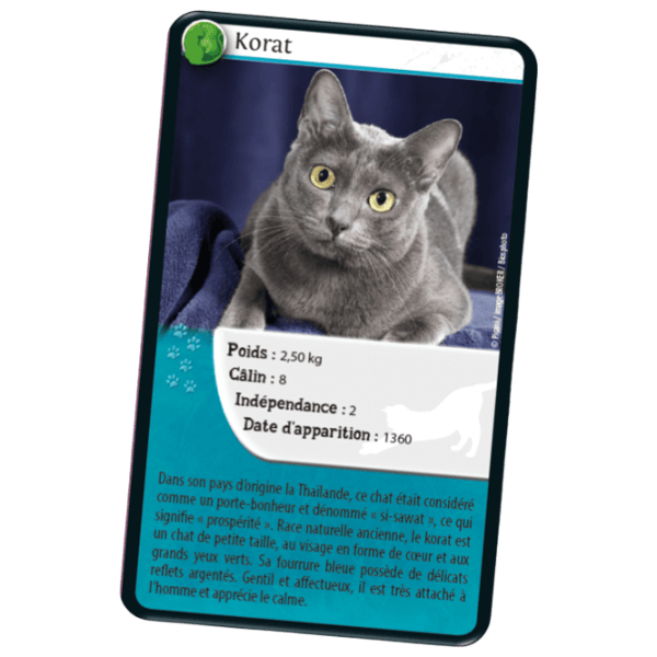 Joc educativ Bioviva Nature Challenge: Cats 7+/ Dezvoltare photo 2