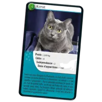 Joc educativ Bioviva Nature Challenge: Cats 7+/ Dezvoltare photo 2