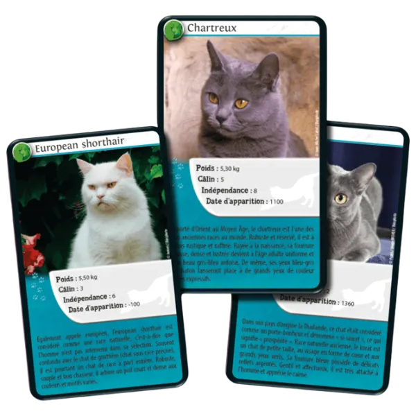 Joc educativ Bioviva Nature Challenge: Cats 7+/ Dezvoltare photo 4