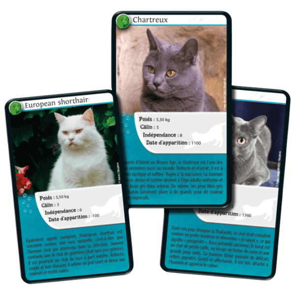 Joc educativ Bioviva Nature Challenge: Cats 7+/ Dezvoltare photo 4